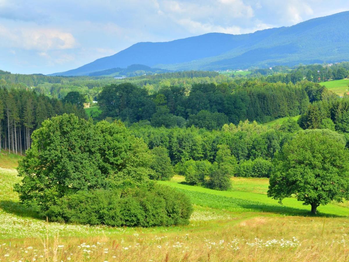 Comfort Apartment With Balcony In The Beautiful Bavarian Forest Drachselsried Ruang foto