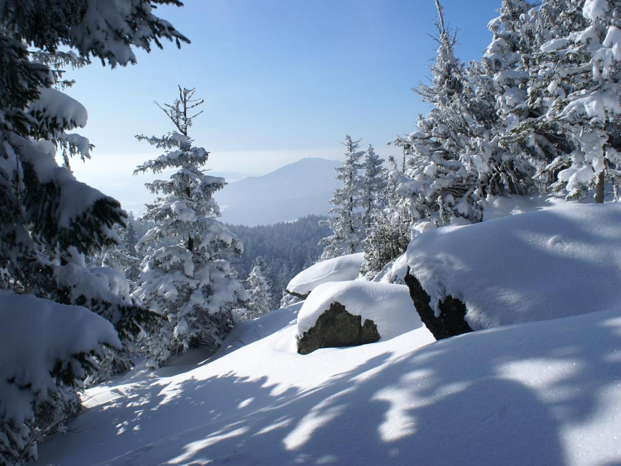 Comfort Apartment With Balcony In The Beautiful Bavarian Forest Drachselsried Bagian luar foto