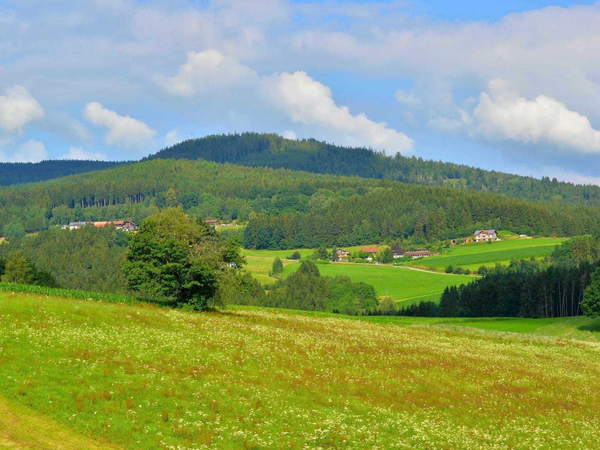 Comfort Apartment With Balcony In The Beautiful Bavarian Forest Drachselsried Bagian luar foto