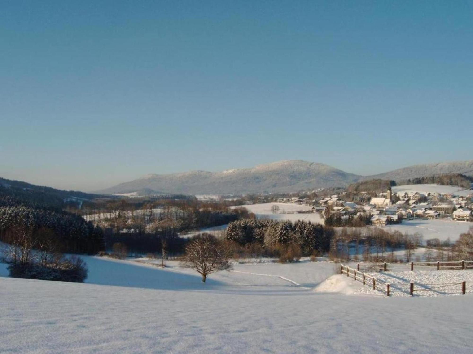 Comfort Apartment With Balcony In The Beautiful Bavarian Forest Drachselsried Bagian luar foto
