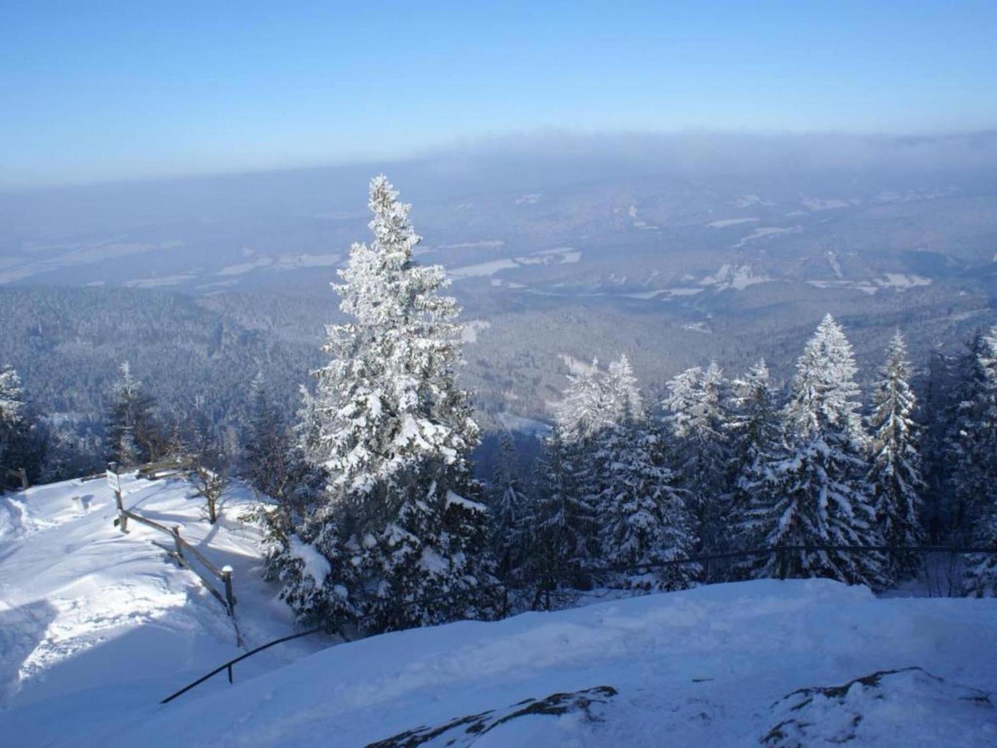 Comfort Apartment With Balcony In The Beautiful Bavarian Forest Drachselsried Bagian luar foto