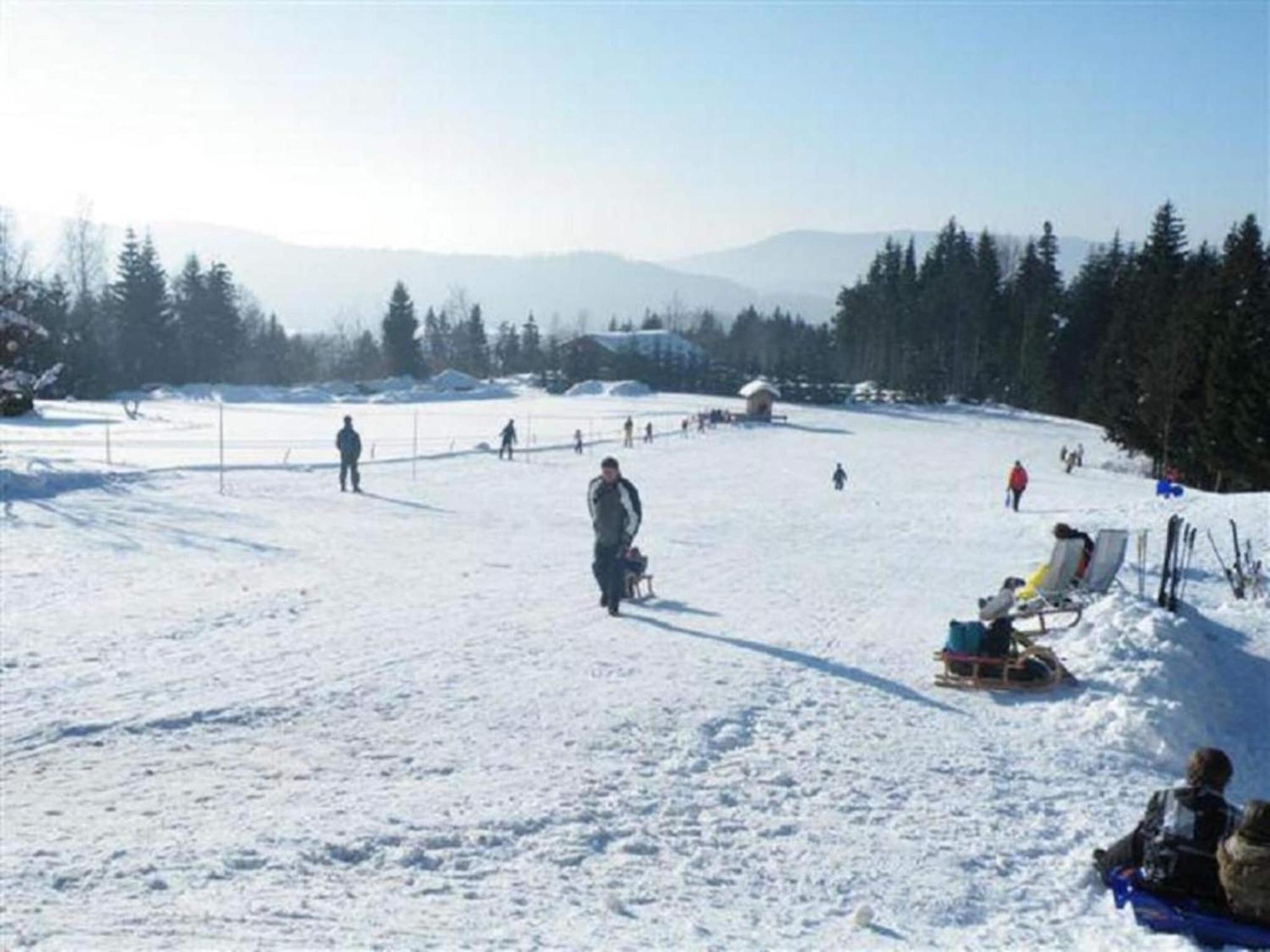 Comfort Apartment With Balcony In The Beautiful Bavarian Forest Drachselsried Bagian luar foto