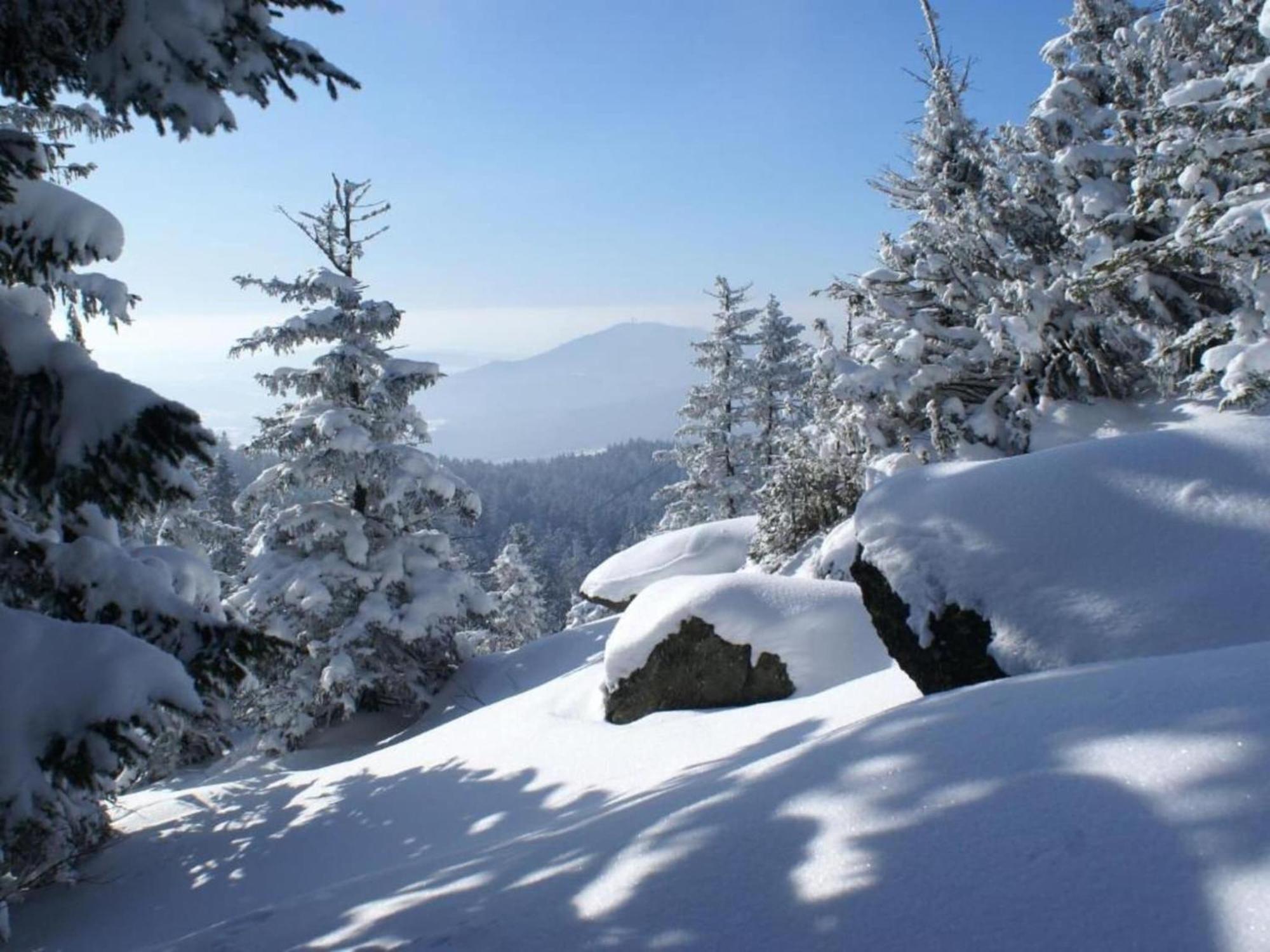 Comfort Apartment With Balcony In The Beautiful Bavarian Forest Drachselsried Bagian luar foto