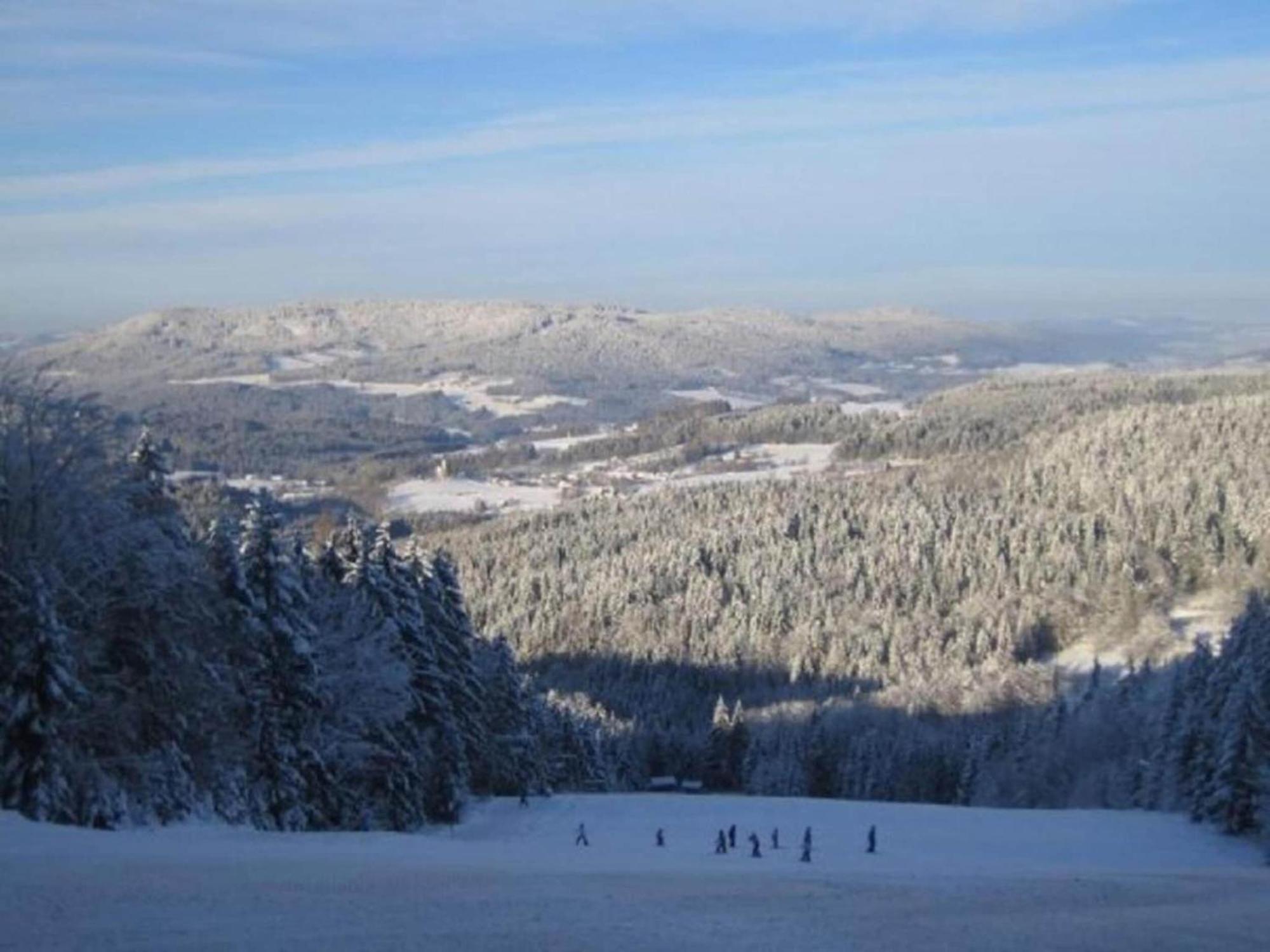 Comfort Apartment With Balcony In The Beautiful Bavarian Forest Drachselsried Bagian luar foto